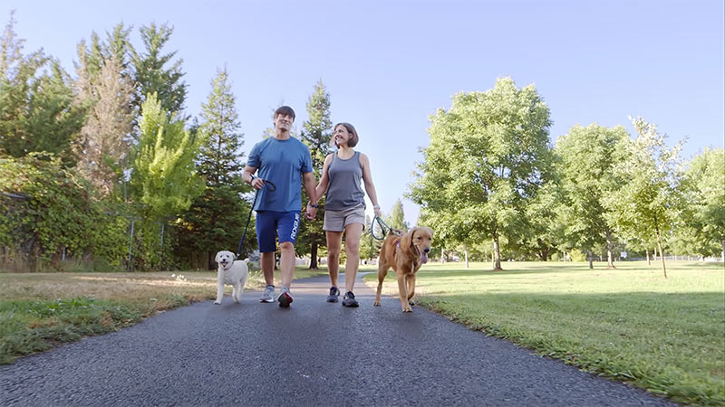 Two people walking with two dogs.